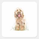 Search for cockapoo stickers Pet