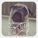 Search for oh snap stickers Funny