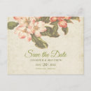 Search for apple save the dates Vintage