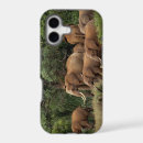 Search for tusks iphone cases Mammal