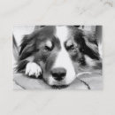 Search for herd business cards Animal