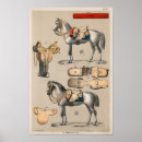 Search for saddle posters Horses
