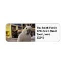 Search for funny cat return address labels Pets
