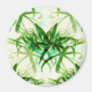 Search for bamboo magnets Green
