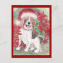 Search for santa beagle christmas cards Cute