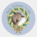 Search for sheep lover stickers Merry christmas