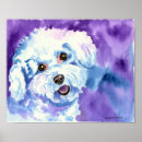 Search for bichon frise art Puppies