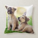 Search for german shepherd cushions Park