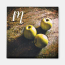 Search for green apple magnets Fruit
