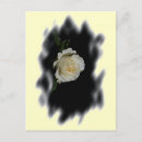 Search for edges postcards Roses