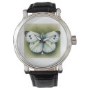 Search for lepidoptera Animals