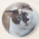 Search for pet photo coasters Cat