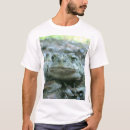 Search for toad photo photography Wildlife