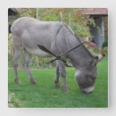 Search for garden care posters Funny