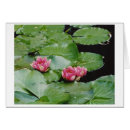 Search for water lilly Lillies