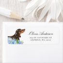 Search for black and tan return address labels Dachshund