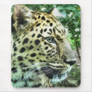 Search for amur mousepads Animals
