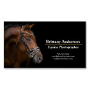 Search for stables business cards Barn