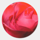Search for red velvet stickers Rose