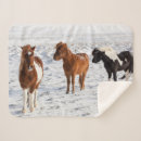 Search for icelandic horses blankets Farm