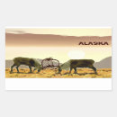 Search for caribou stickers Reindeer