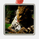 Search for wild christmas tree decorations Cat