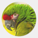 Search for avian stickers Jaynes gallery