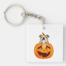 Search for bulldog key rings Animal