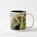 Search for tree frog coffee mugs Outdoors