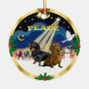 Search for dachshund christmas decor Pets