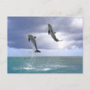 Search for delfin postcards Togetherness