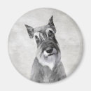 Search for schnauzer magnets Puppy