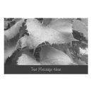 Search for black and white botanical art Monochrome