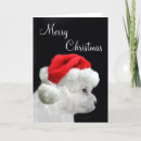 Search for bichon christmas cards Xmas