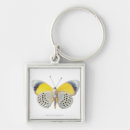 Search for cute butterfly key rings Nature