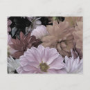 Search for abstract flowers postcards Pink