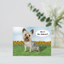 Search for yorky postcards Dog
