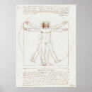 Search for vitruvian man posters Illustration