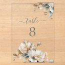 Search for acrylic table cards Elegant