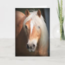 Search for haflinger horse cards Pony