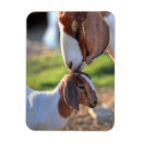 Search for mothering magnets Outdoors