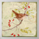 Search for wren posters Vintage