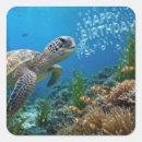 Search for reef turtle stickers Birthday