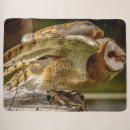 Search for barn owl blankets Raptor