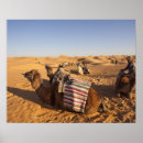 Search for tunisia posters Tourism