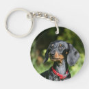 Search for smooth key rings Zwergteckel