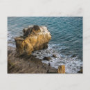 Search for matador Beach