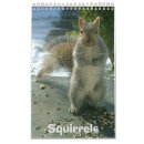 Search for squirrel calendars Funny