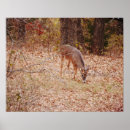 Search for hunting hunter posters Antler