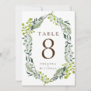 Search for fern table cards Eucalyptus